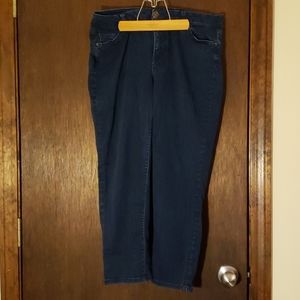 Lane Bryant Stretch Jeans